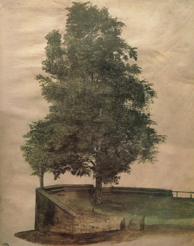 Albrecht Durer Linden Tree on a Bastion